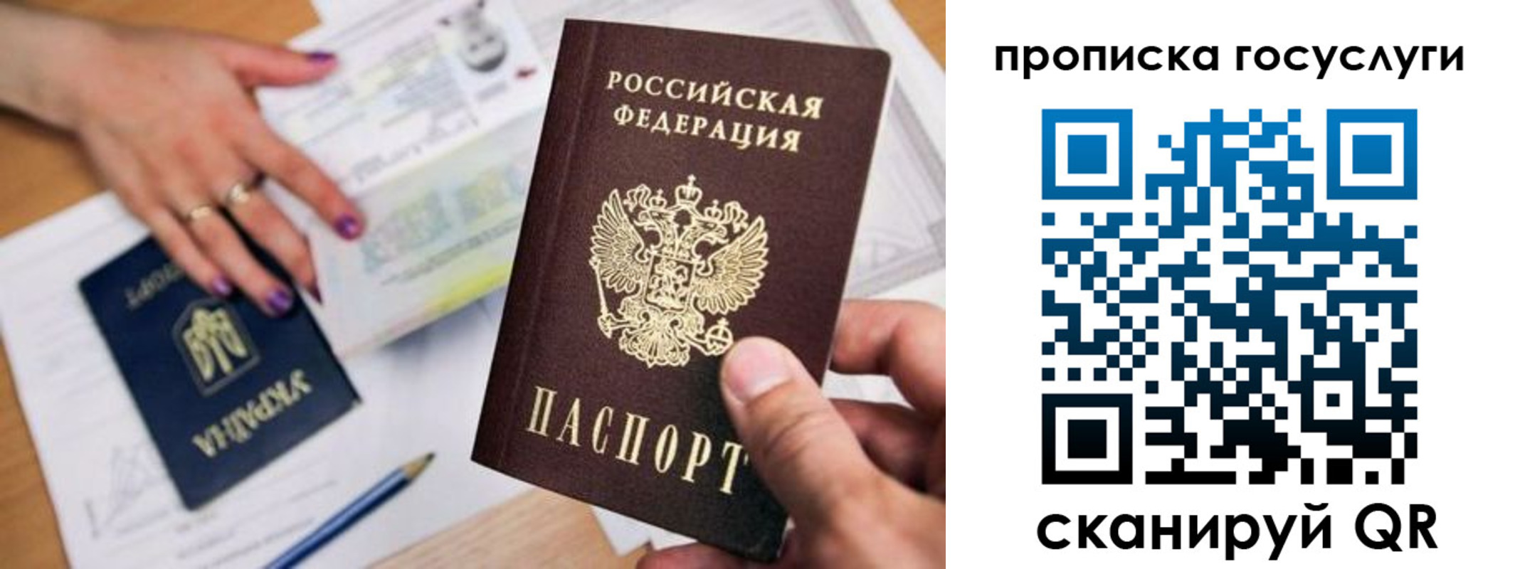 временная прописка в Кольчугино