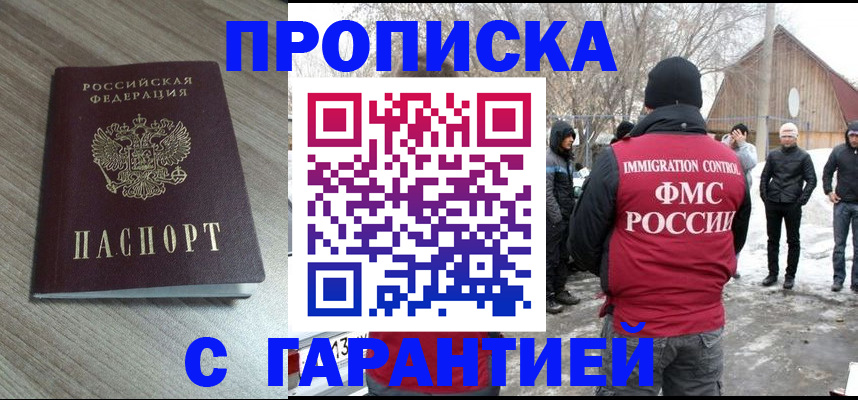 прописка 2025 в Кольчугино